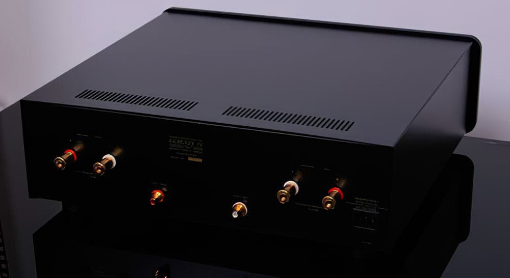 Dayens Ecstasy IVse — reference dual-mono stereo power amp (2)